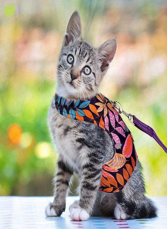 PETANGEL Cat Harness and Leash for Walking Escape Proof 2Pcs Air Mesh Fabric Outdoor Walking Vest with Reflective Strips for Cute Kittens and Small Puppies (Size: S, Chest: 23cm -27cm) - Image 3